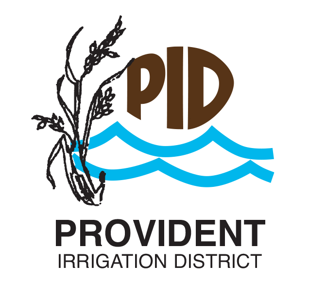 Provident ID logo